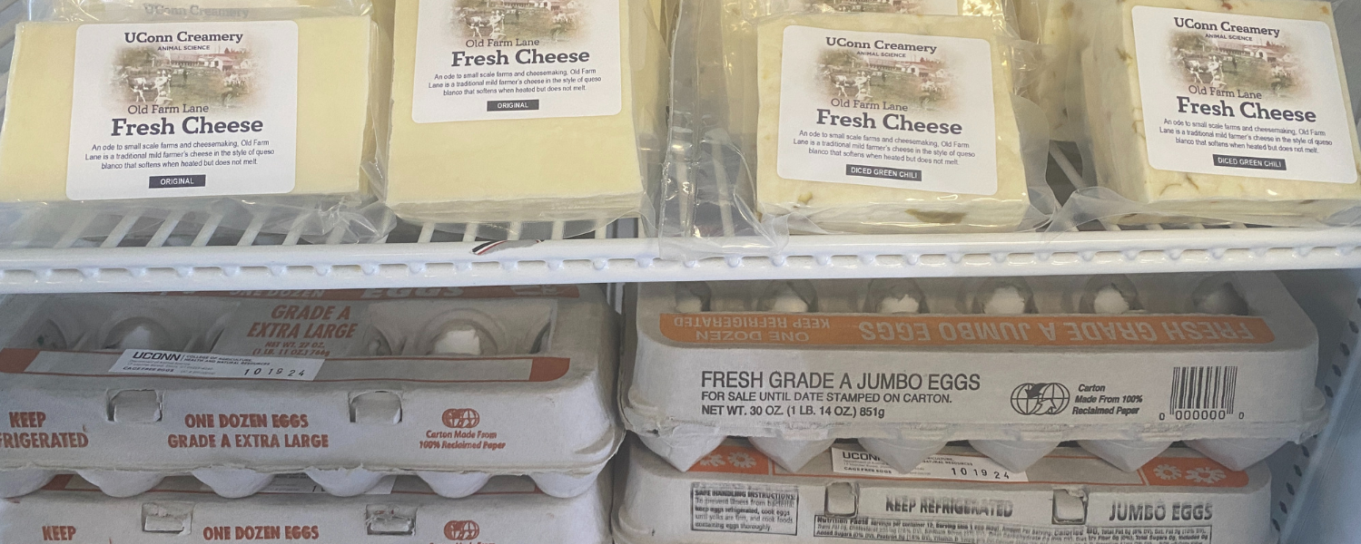 DairyBar_SlideShow_CheeseEggs